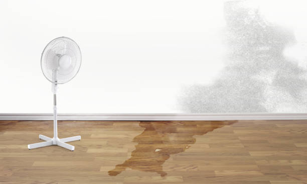 Best Commercial water damage restoration  in Elm Springs, AR