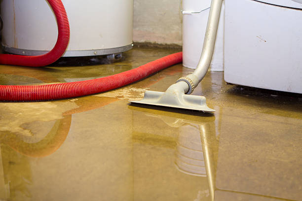 Best Flood damage cleanup  in Elm Springs, AR