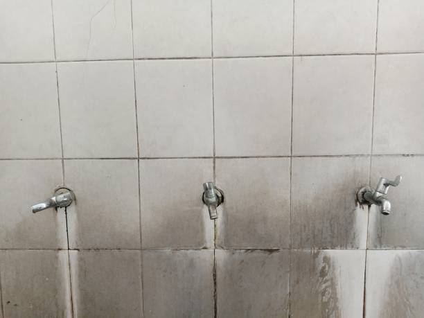 Best Carpet water damage restoration  in Elm Springs, AR
